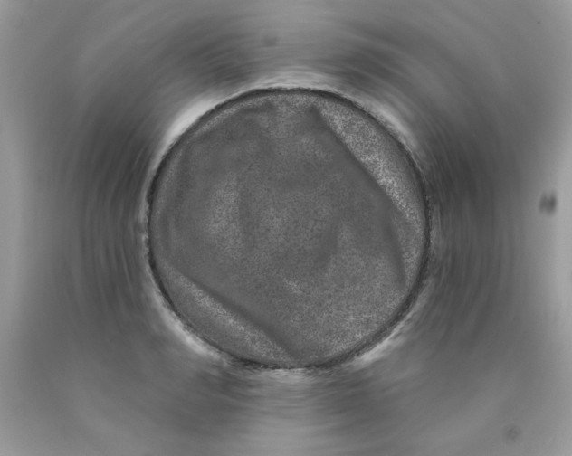 X0000089940990200707201859