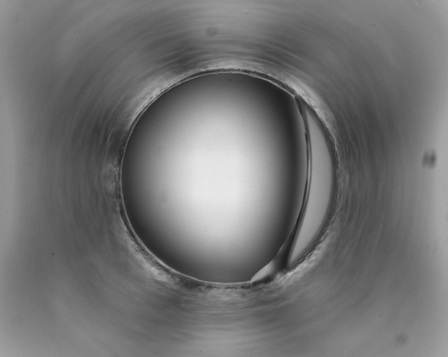 X0000089940993200707201859