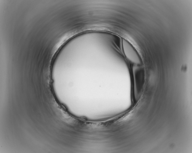 X0000089940994200707201859