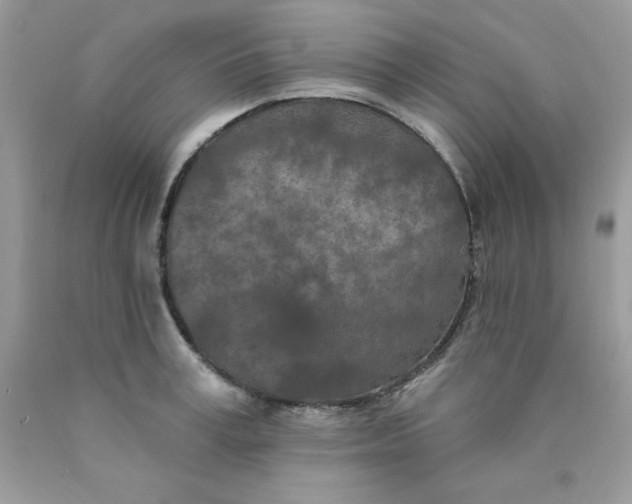 X0000089940995200707201859