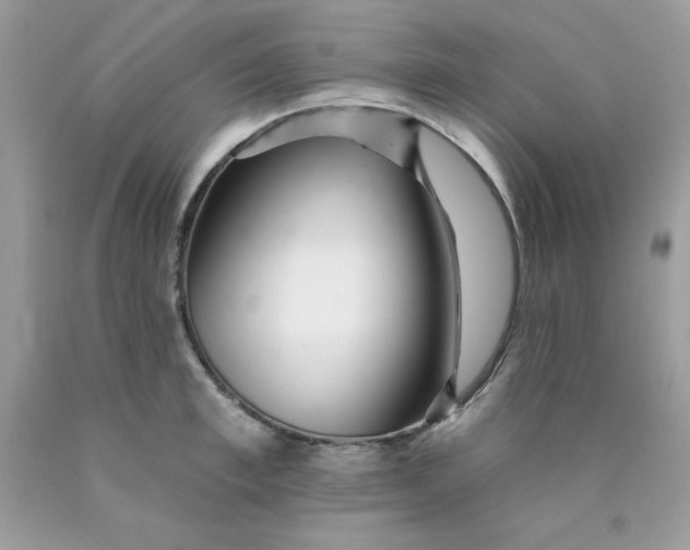 X0000089940997200707201859