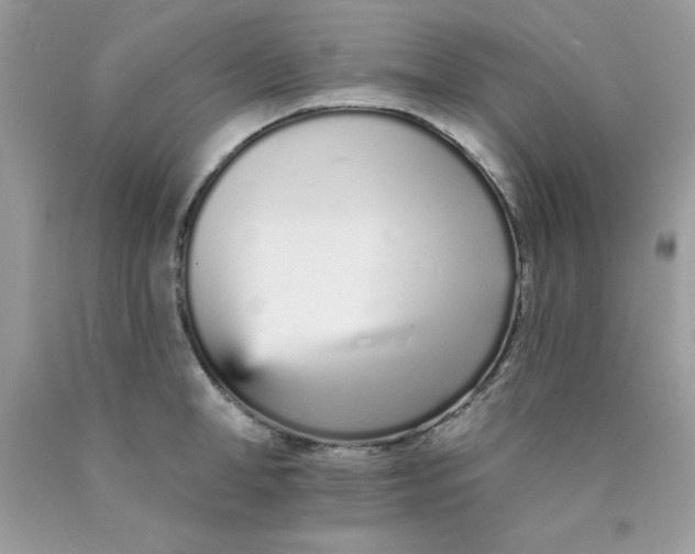 X0000089940998200707201859