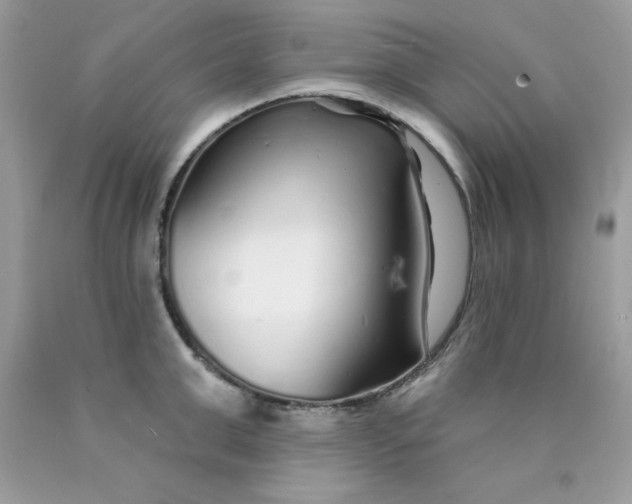 X0000089940999200707201859