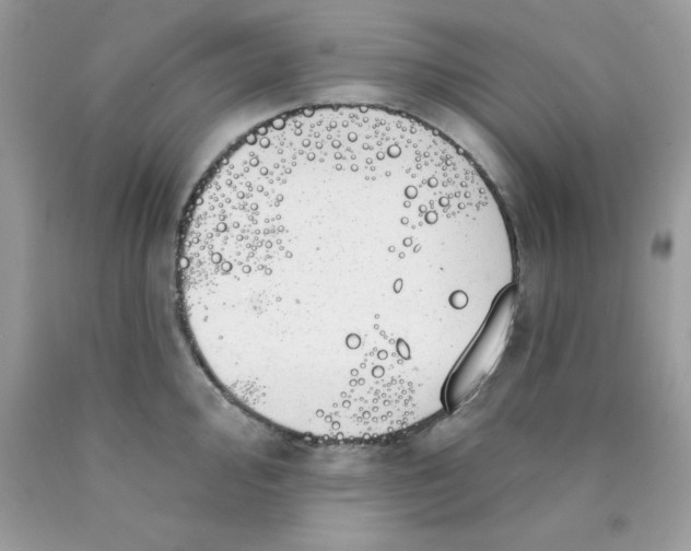 X0000089941000200707201859