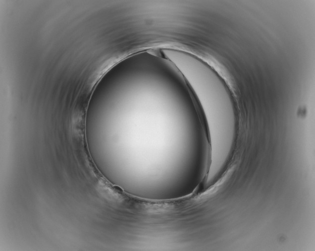 X0000089941001200707201859