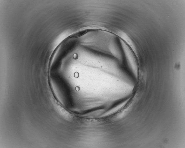 X0000089941002200707201859