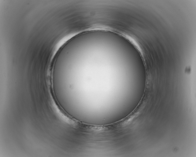 X0000089941003200707201859