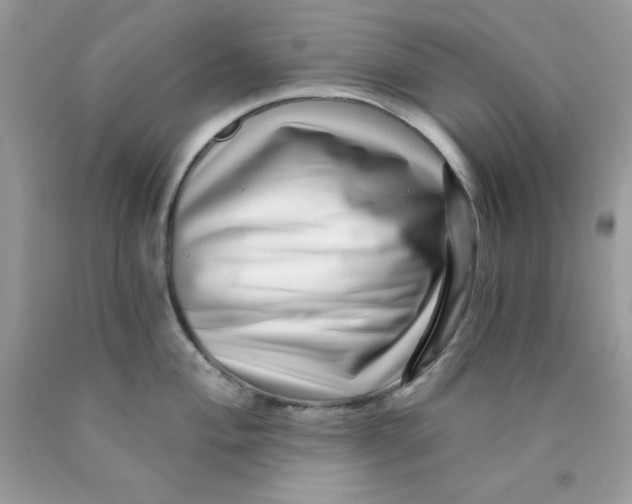 X0000089941004200707201859