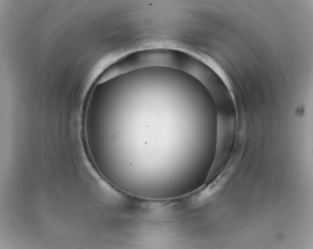 X0000089941005200707201859