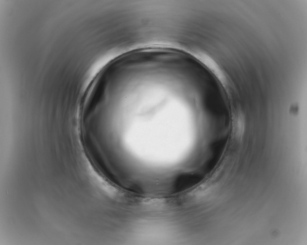 X0000089941006200707201859