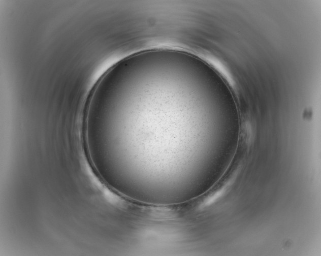 X0000089941007200707201859