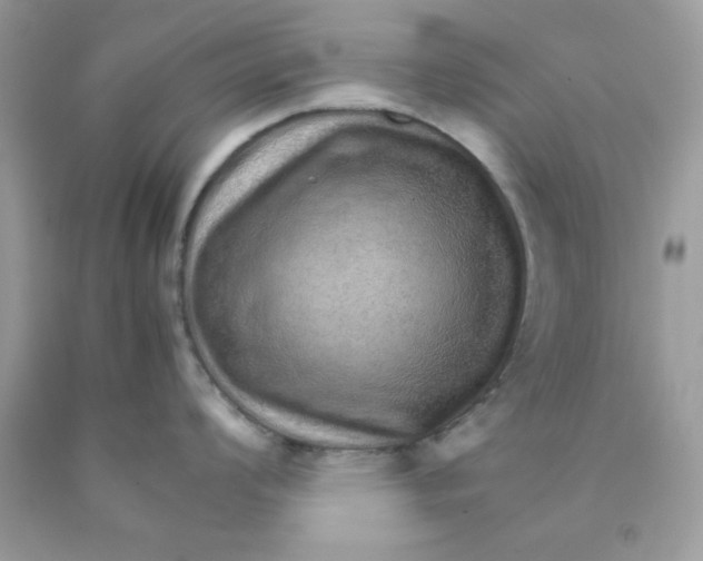 X0000089941008200707201859