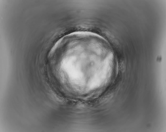 X0000089941009200707201858