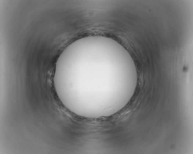 X0000089941010200707201858