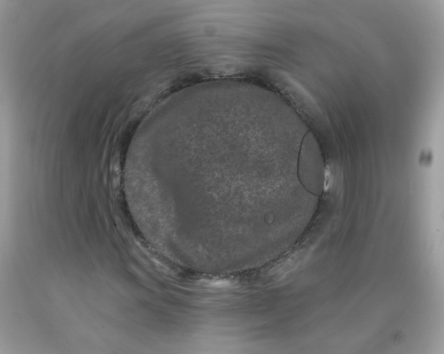 X0000089941011200707201858