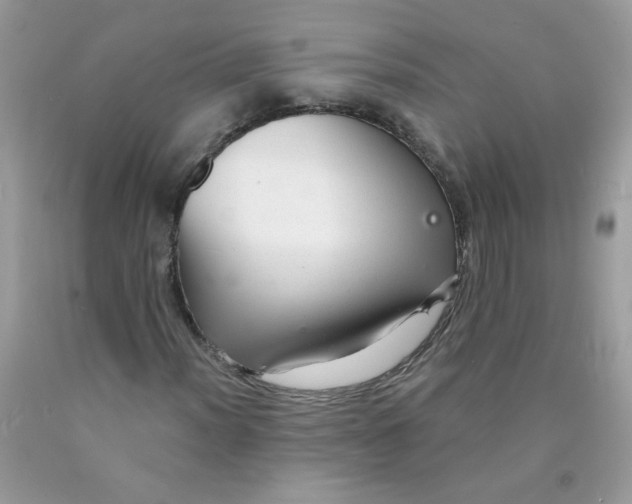 X0000089941012200707201858