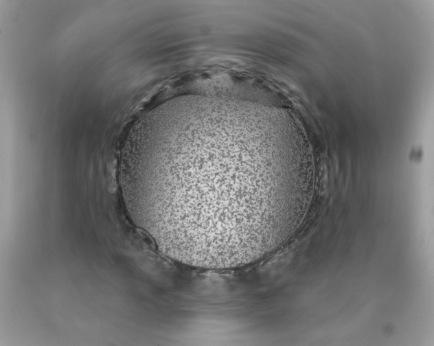 X0000089941013200707201858