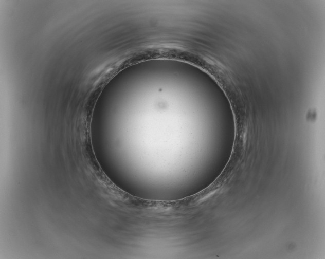 X0000089941014200707201858