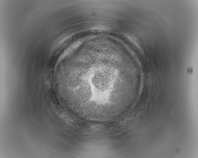 X0000089941015200707201858