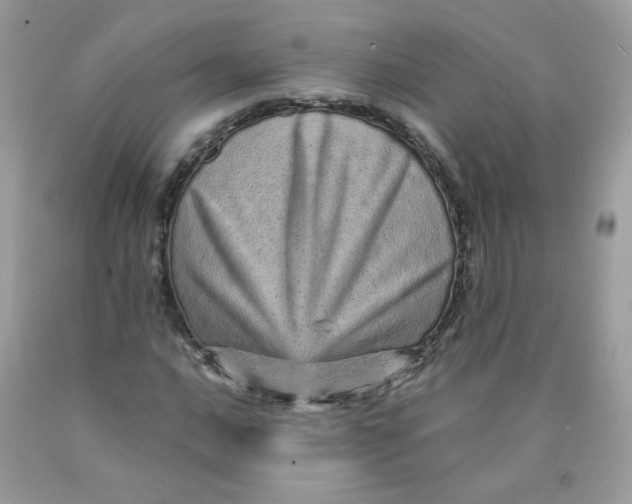 X0000089941016200707201858