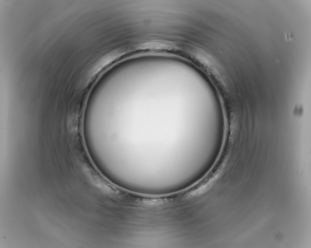 X0000089941017200707201858