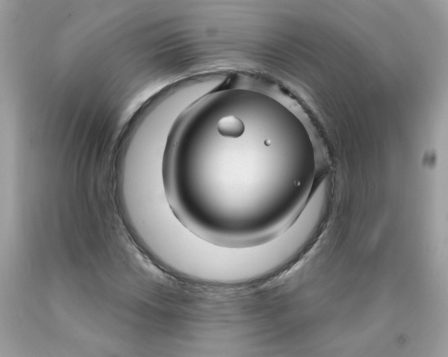 X0000089941018200707201858