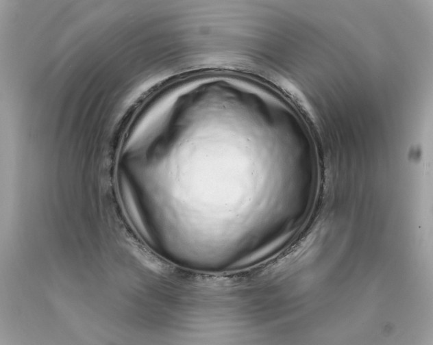 X0000089941019200707201858