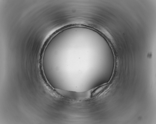 X0000089941020200707201858