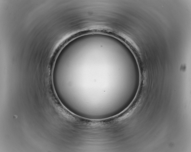 X0000089941021200707201858