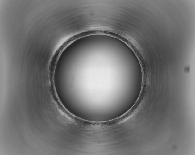 X0000089941022200707201858