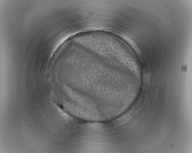 X0000089941023200707201858