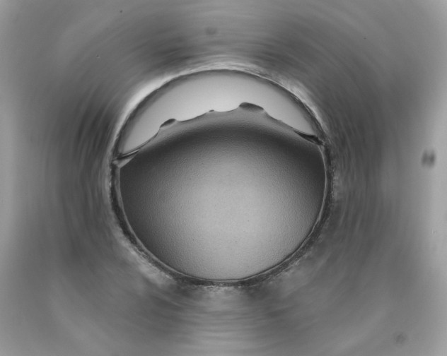 X0000089941024200707201858