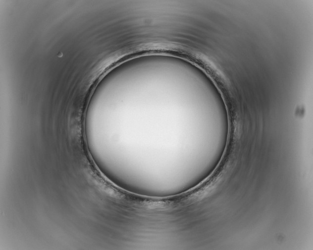 X0000089941025200707201858