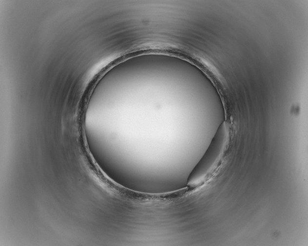 X0000089941026200707201858