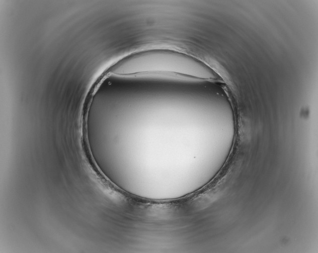 X0000089941028200707201858