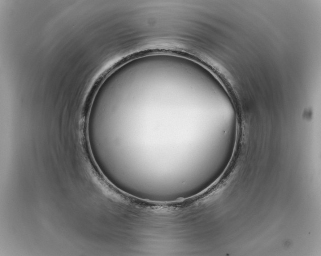 X0000089941029200707201858