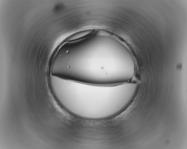 X0000089941030200707201858