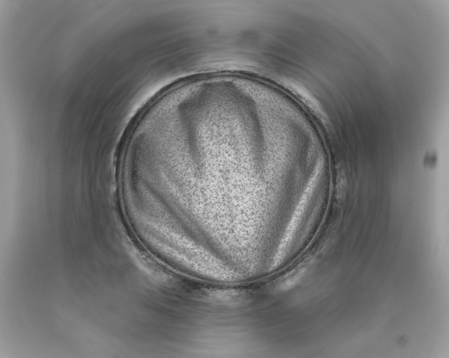 X0000089941031200707201858