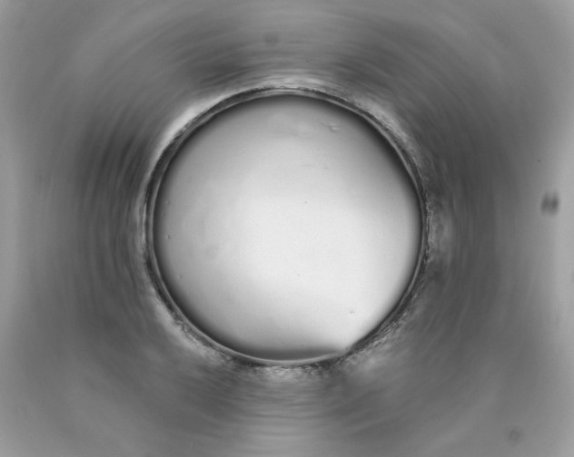 X0000089941032200707201858