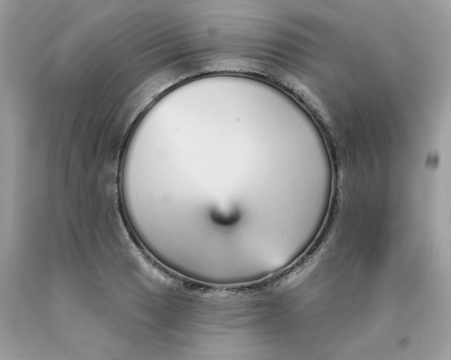 X0000089941033200707201858