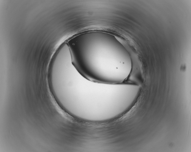 X0000089941034200707201858