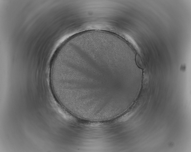 X0000089941035200707201858