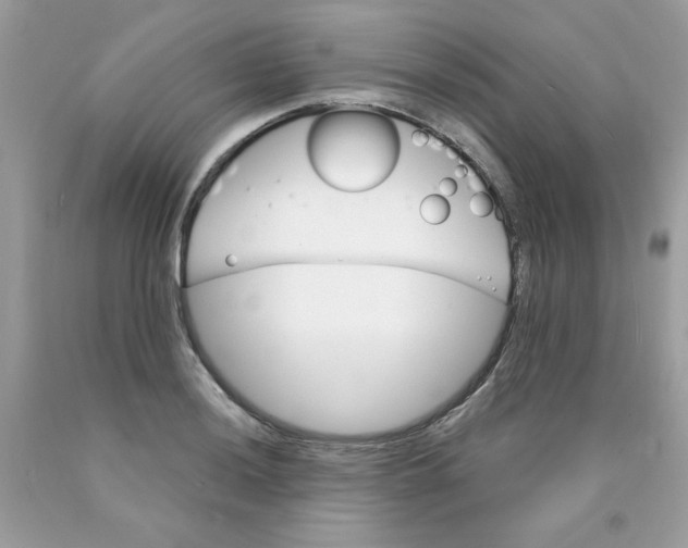 X0000089941036200707201858