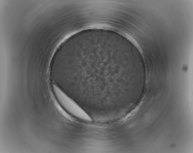 X0000089941037200707201858