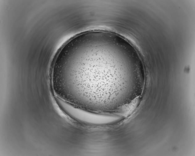 X0000089941038200707201858