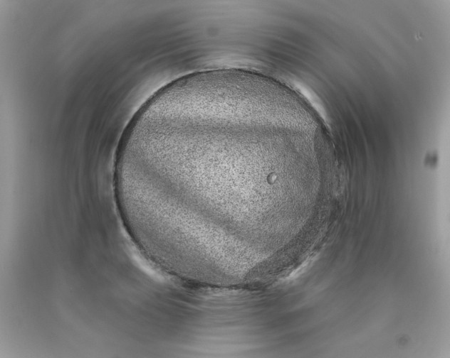 X0000089941039200707201858