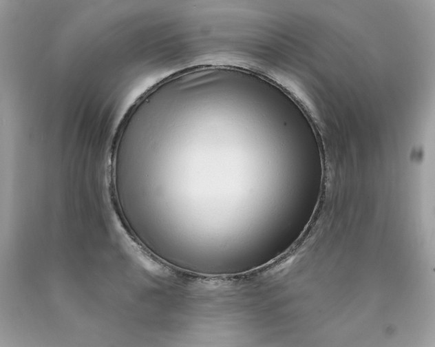 X0000089941040200707201858