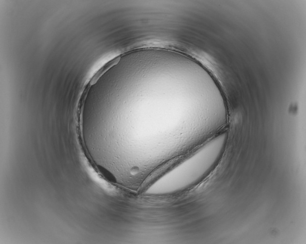 X0000089941042200707201858