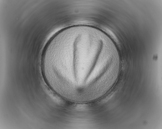 X0000089941043200707201858