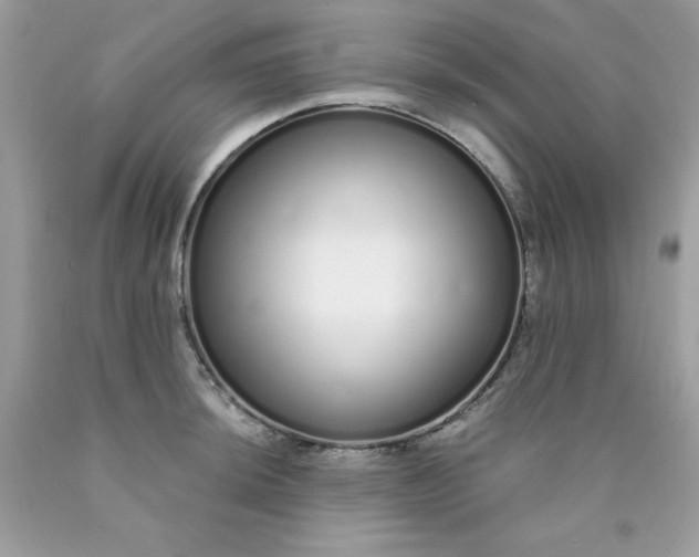 X0000089941044200707201858